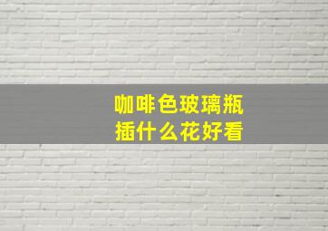 咖啡色玻璃瓶 插什么花好看